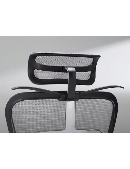 Cintre pour Ergohuman Evolution | Procomfort