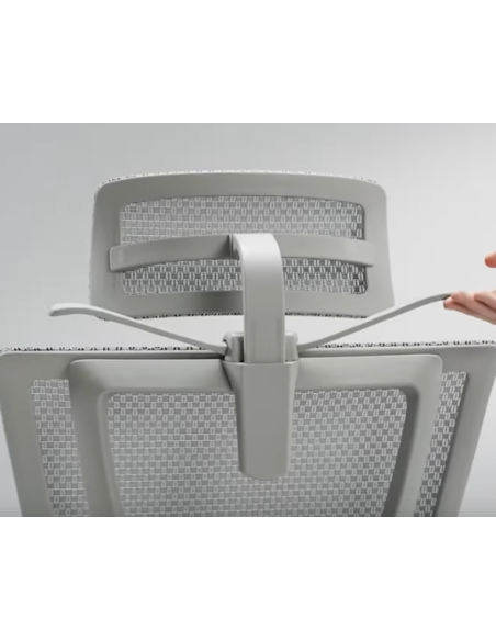 Cintre pour Mirus Evolution | Procomfort