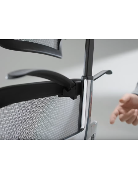 Cintre pour Ergohuman Evolution | Procomfort