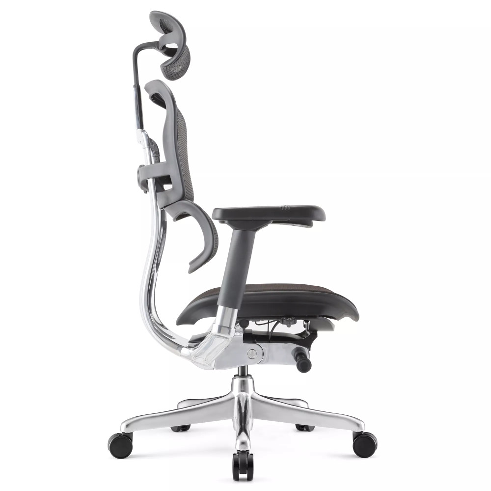 Ergohuman Elite Evolution, with padded seat | Procomfort