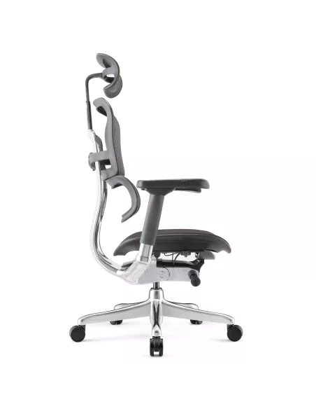 Ergohuman Elite Evolution, mit gepolstertem Sitz | Procomfort