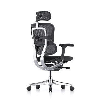Ergohuman Elite Evolution nera, rete nera | Procomfort 2