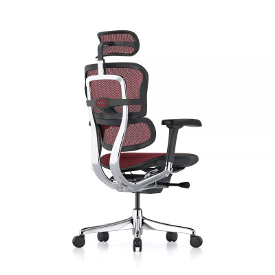 Ergohuman Elite Evolution, Rahmen schwarz, Netz rot | Procomfort 2