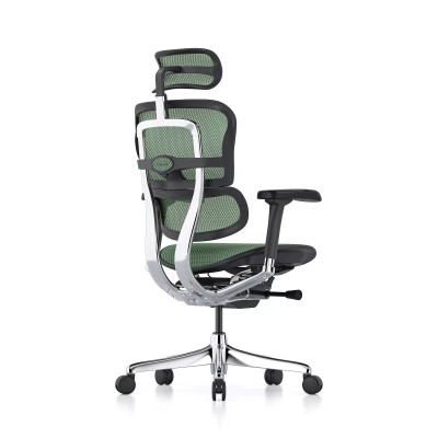 Ergohuman Elite Evolution, Rahmen schwarz, Netz grün | Procomfort 2