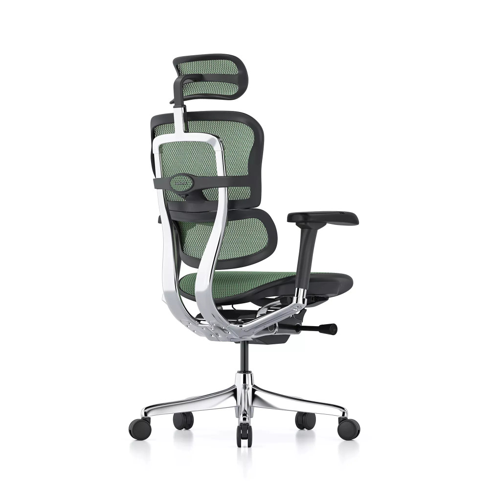 Ergohuman Elite Evolution, structure noire, maille verte