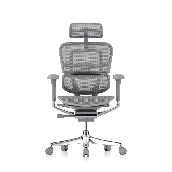 Ergohuman Elite Evolution, estructura gris, malla gris