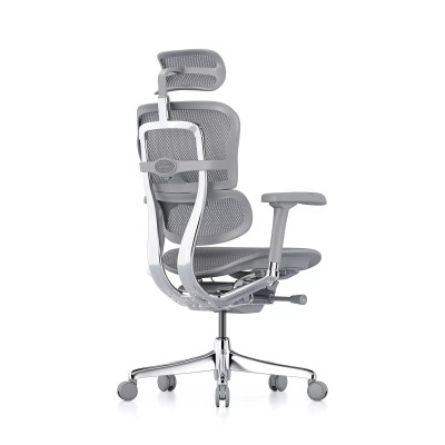 Ergohuman Elite Evolution, structure grise, maille grise 2