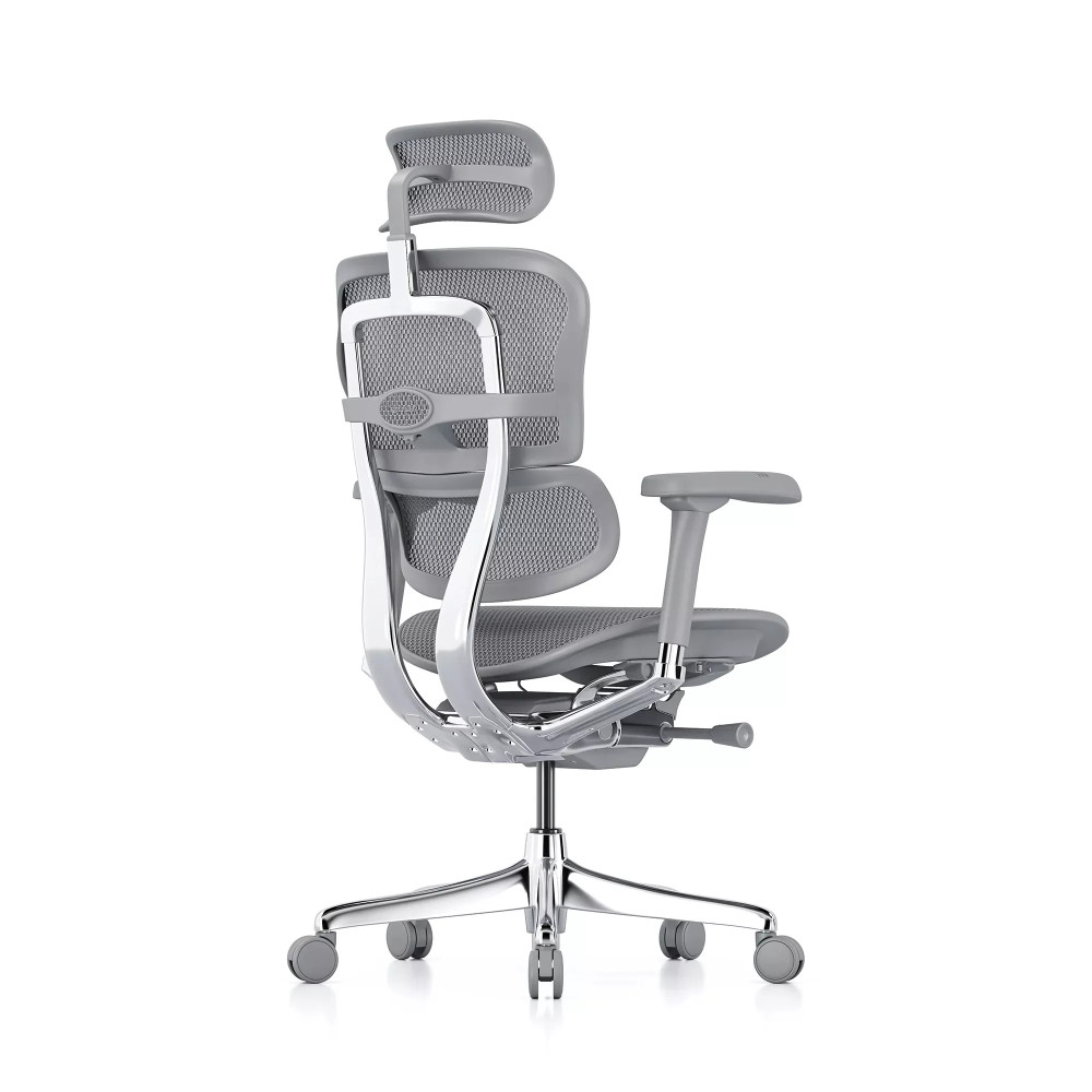 Ergohuman Elite Evolution, grey frame, grey mesh | Procomfort