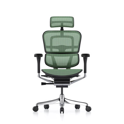 Ergohuman Elite Evolution, estructura negra, malla verde