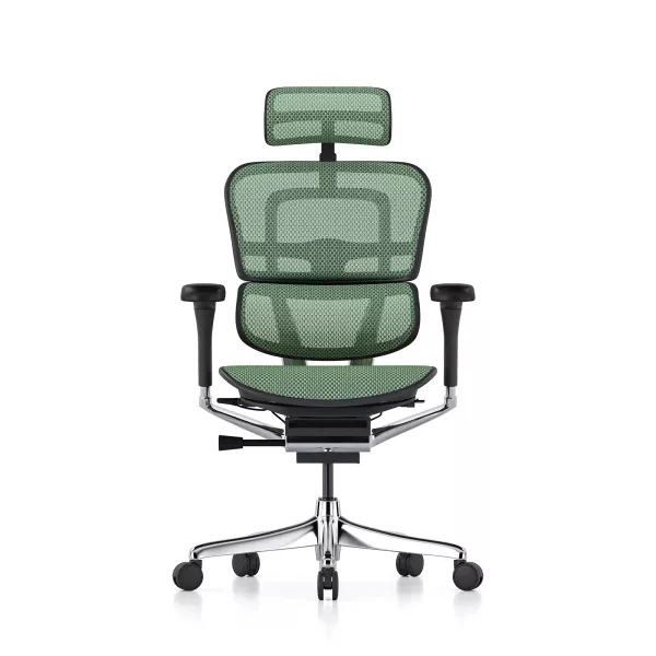 Ergohuman Elite Evolution, structure noire, maille verte