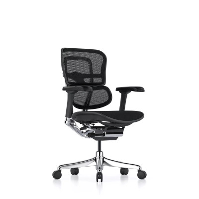 Ergohuman Elite Evolution, schwarz, ohne Kopfstütze | Procomfort 2