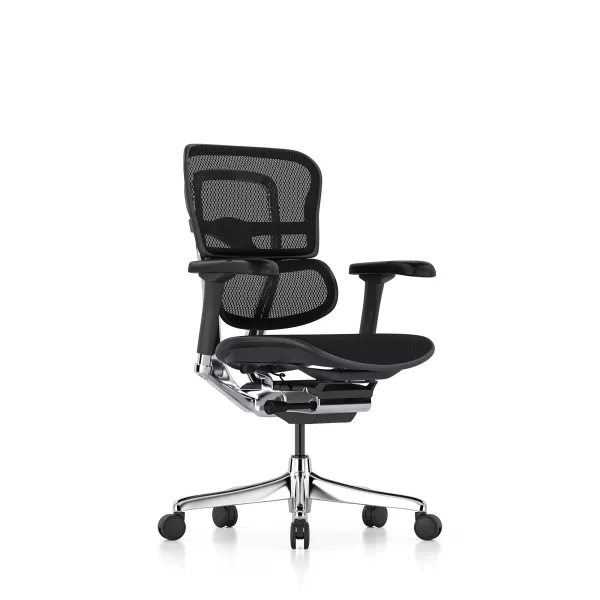 Ergohuman Elite Evolution senza poggiatesta | Procomfort
