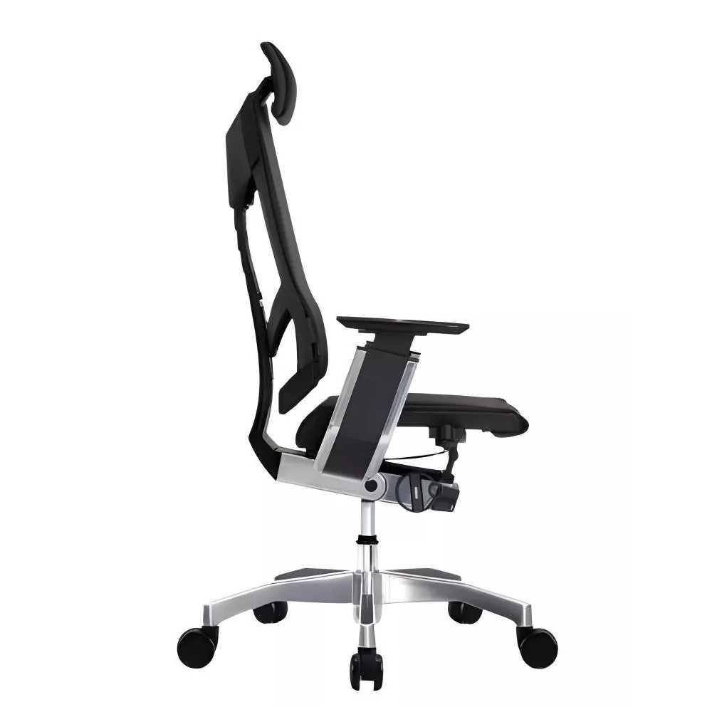Genidia Plus Luxury: fauteuil ergonomique | Procomfort