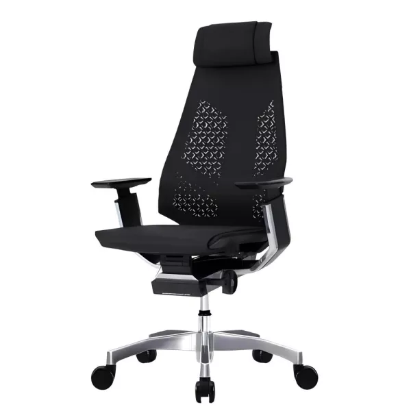 Genidia Plus Luxury: fauteuil ergonomique | Procomfort