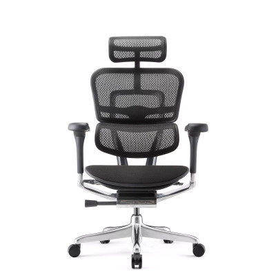 Ergohuman Elite Evolution, with padded seat | Procomfort