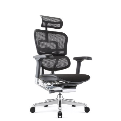 Ergohuman Elite Evolution, con asiento acolchado | Procomfort 2