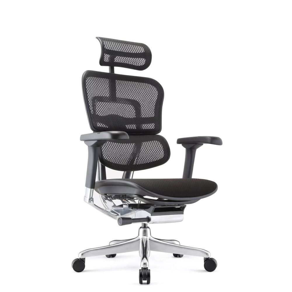 Ergohuman Elite Evolution, with padded seat | Procomfort