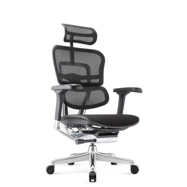 Ergohuman Elite Evolution, mit gepolstertem Sitz | Procomfort