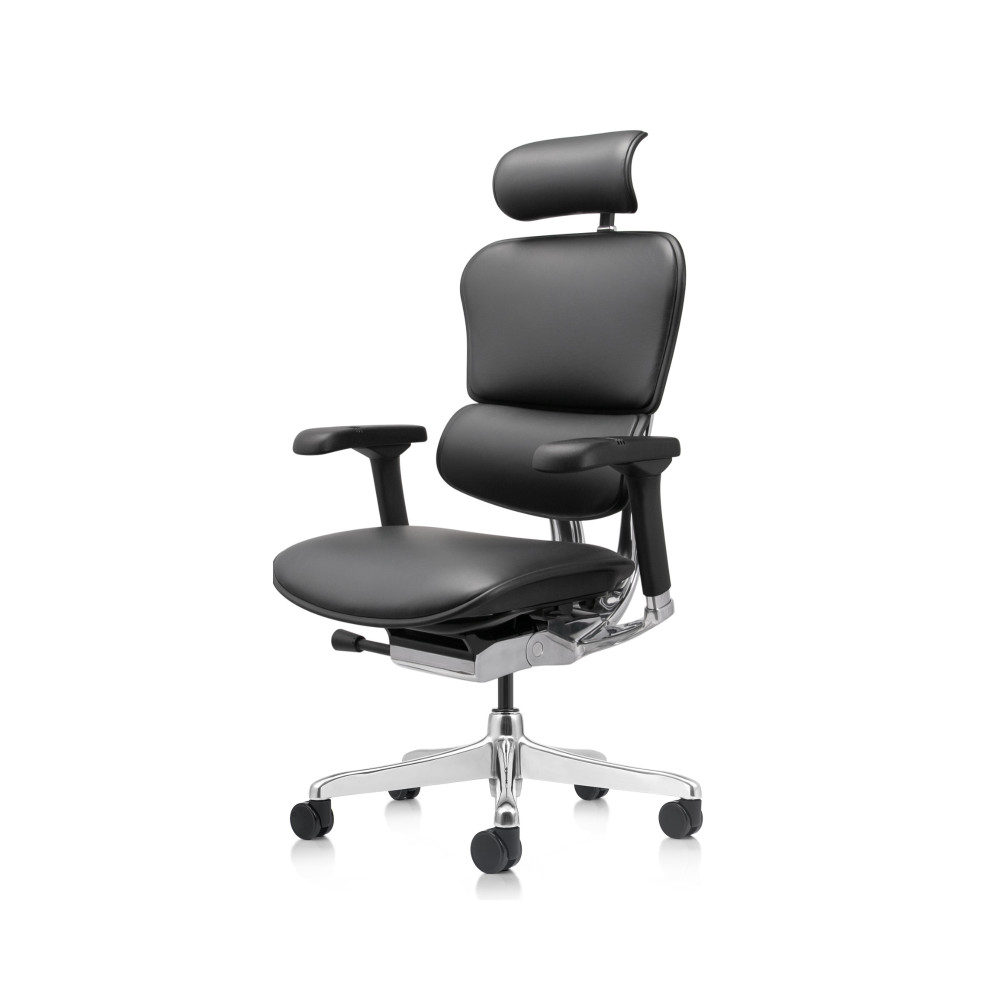 Ergohuman Elite Evolution, Leder schwarz | Procomfort