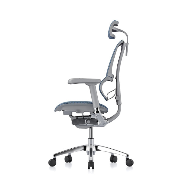 Mirus Evolution, Rahmen grau, Netz kobalt | Procomfort