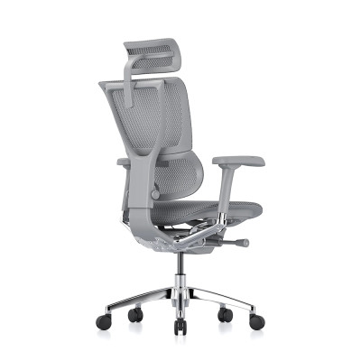 Mirus Evolution, Rahmen grau, Netz grau | Procomfort 2