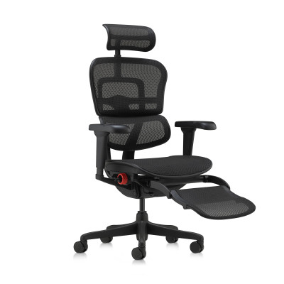Ergohuman Ultra X9 Gaming, avec repose-jambes | Procomfort 2