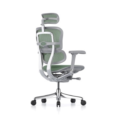 Ergohuman Elite Evolution, estructura gris, malla verde 2