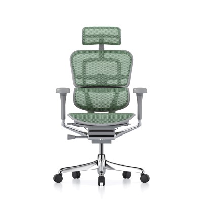 Ergohuman Elite Evolution, Rahmen grau, Netz grün | Procomfort