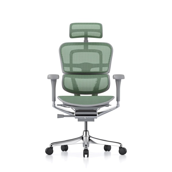 Ergohuman Elite Evolution, estructura gris, malla verde