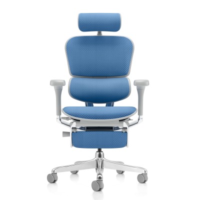 Ergohuman Med grigia, tessuto Sky Blue | Procomfort