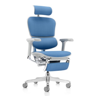 Ergohuman Med grigia, tessuto Sky Blue | Procomfort 2