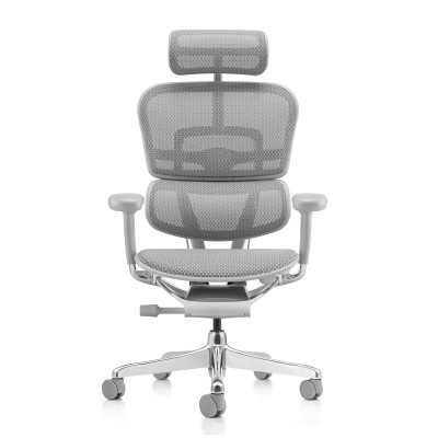 Ergohuman Elite Evolution TASC, gris | Procomfort