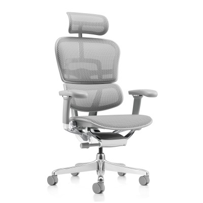 Ergohuman Elite Evolution TASC, grey | Procomfort 2